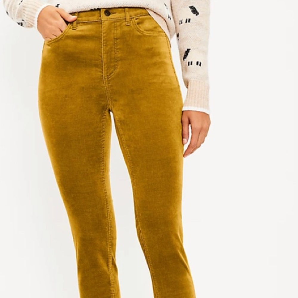 NWT. Loft velvet skinny jeans! Chartreuse.